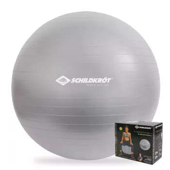 SCHILDKROT Exercise Ball 65 cm Silver Anti-Burst 960156