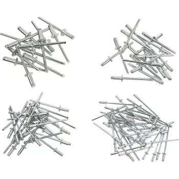 Brüder Mannesmann 600-Piece Blind Rivet Assortment (1097-S)