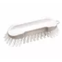 HAUG BÜRSTEN 8830 Cleaning Brush, White/Transparent, Polypropylene Body, Polyester Bristles, Medium Hardness, Autoclavable, Approved for Food Contact