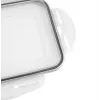 APS Ice Cube Box with Lid, Transparent/Grey, Set of 2, Polypropylene, Dishwasher Safe 36103