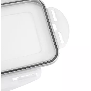 APS Ice Cube Box with Lid, Transparent/Grey, Set of 2, Polypropylene, Dishwasher Safe 36103