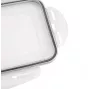 APS Ice Cube Box with Lid, Transparent/Grey, Set of 2, Polypropylene, Dishwasher-Safe 36103