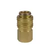 Einhell Quick Coupling, R1/4 Female Thread Compressor Accessory (4139206)
