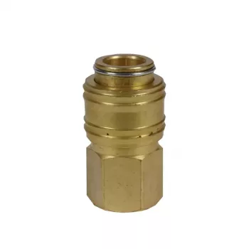 Einhell Quick Coupling, R1/4 Female Thread Compressor Accessory (4139206)