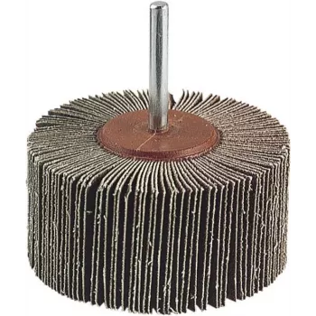 Wolfcraft 2037000 Flap Disc, 20 mm Diameter