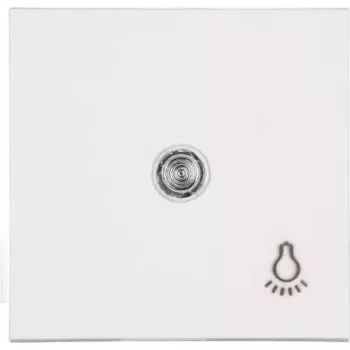HEINRICH KOPP Paris Series Switch, 2 Rocker Buttons, Flush-Mounted, 250 V, 10 A, White Thermoplastic 490442007