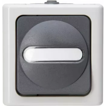 HEINRICH KOPP Universal Switch BLUE ELECTRIC Grey Surface-Mounted Damp Room 10A, 250V (560656006)