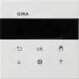 Gira System 3000 blind and timer display module S3000 5366112