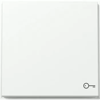 Gira TX44 rocker with door symbol, pure white silk matt 328766