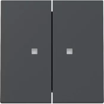 Gira System 55 Double Rocker Switch Cover with Indicator Window, Anthracite Matt 363128