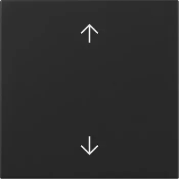 GIRA Rocker Key with Up/Down Arrows, Black Matt, System 55 3616005
