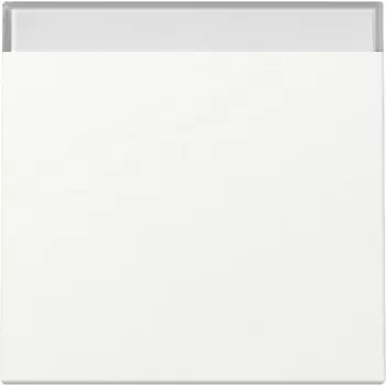 GIRA System 55 Rocker with Labelling Field, Pure White Matt, 329927