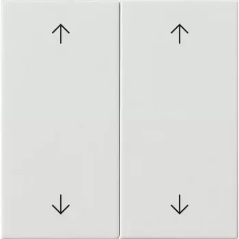 Gira Rocker 2-Gang Pure White 538703