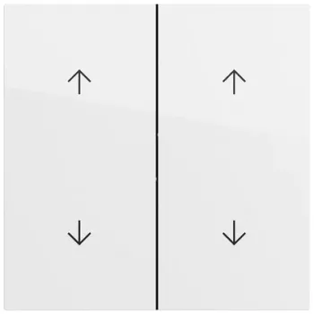 Gira 329770 Rocker 2-Gang with Arrows, Pure White
