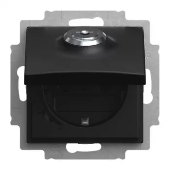 Busch-Jaeger Socket Insert 20 EUKBSL-915-101 Schuko 1-Gang Flush-Mounted Matt Black 2CKA002018A1589
