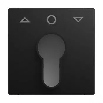 Busch-Jaeger Busch-balance SI central plate with arrow up/down symbol, matt black 2CKA001710A4259