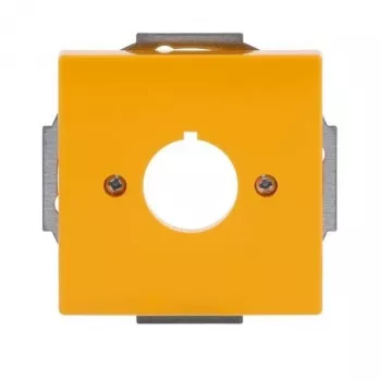 Busch-Jaeger future® linear Central Plate Cover, Yellow, 1-Gang, for Rocker Inserts 2CKA001724A4382