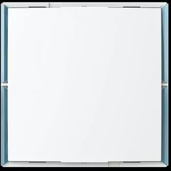BUSCH-JAEGER Keypad Control Element 1..4 Control Functions KK/U4.55.11 (2CKA006115A0505)