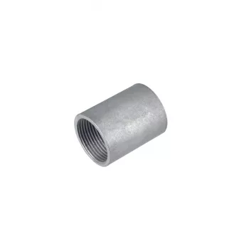 FRAENKISCHE SM-E-V 20 Steel Threaded Coupling M20 for FFS-ES/FFSK-ES-UV Conduit, Galvanised 20450020