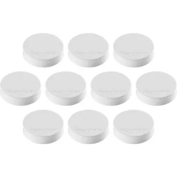 Magnetoplan Ergo Magnets Medium White Ferrite Magnet, 30 mm, 1 Piece 1664000