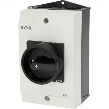 Eaton P1-25/I2H/MBS/SVB-SW/HI11 surface-mounted main switch 182416