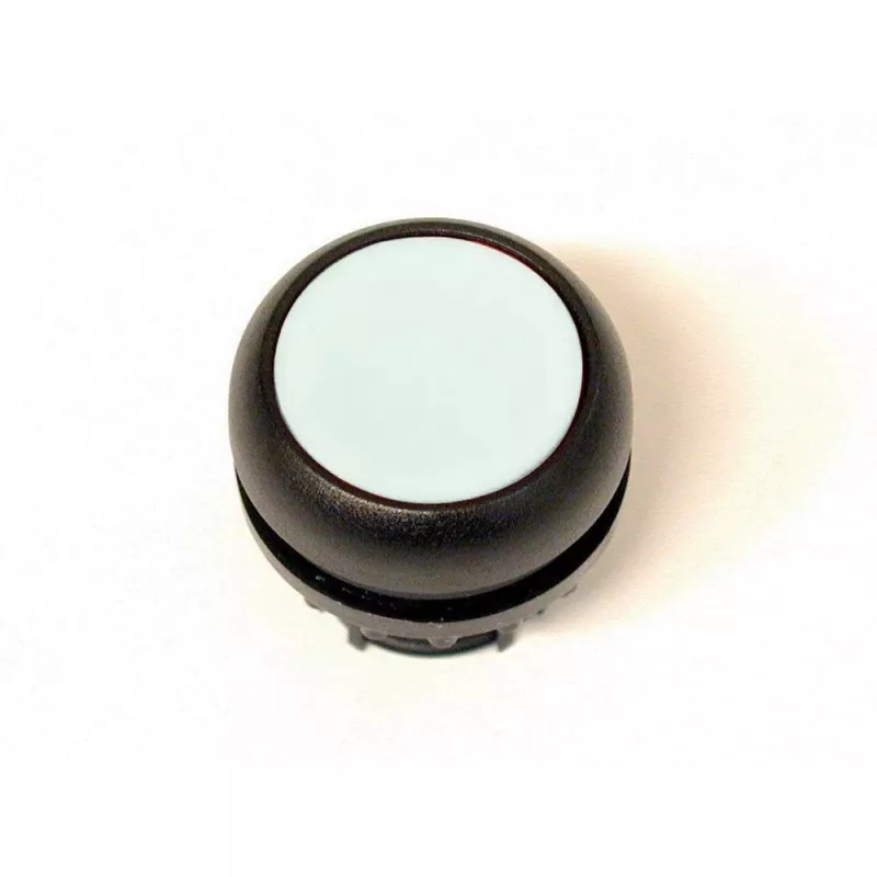 Eaton M22S-DR-X flat pushbutton, latching, without label 216627