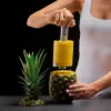 Lurch Pineapple Slicer & Corer Grey 10246