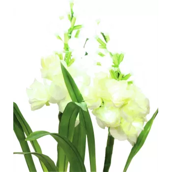 EUROPALMS Arum, 3-Piece Set with LEDs, White, 85cm (83330302)