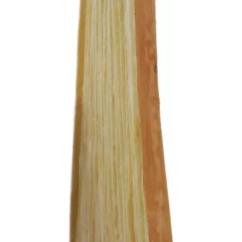EUROPALMS Bamboo Wall Panel 100x100cm Natural Decorative Panel 83313220