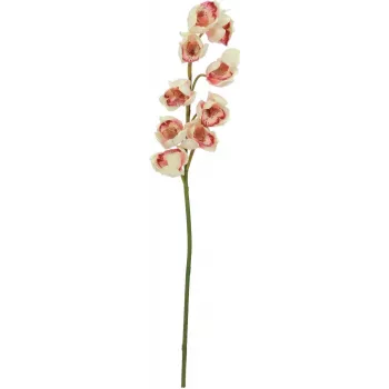 EUROPALMS Artificial Cymbidium Branch, Cream-Pink, 90cm 82530311