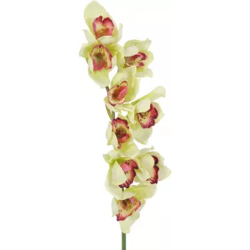 EUROPALMS Artificial Cymbidium Orchid Branch, Green, 90cm 82530313