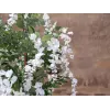 EUROPALMS Artificial Golden Chain Tree, White Flowers, 180cm 82507106