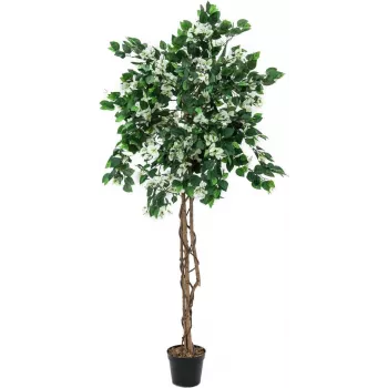 EUROPALMS Bougainvillea Artificial Plant, White, 180 cm 82507086