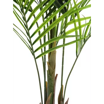 EUROPALMS Large-Leaved Areca Artificial Plant, 165cm 82509441