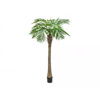 EUROPALMS Phoenix Palm Luxor, Artificial Plant, 240cm 82510722