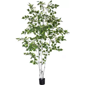 EUROPALMS Artificial Birch, 210 cm 82505232
