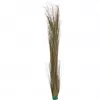 EUROPALMS Artificial Reed Grass, Khaki, 127 cm 82505853