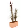 EUROPALMS Artificial Reed Grass with Cattails, Dark Brown, 152cm 82505857