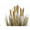 EUROPALMS Artificial Ripe Wheat, 60cm 82505867