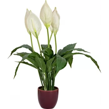 EUROPALMS Artificial Peace Lily, 60 cm 82505660