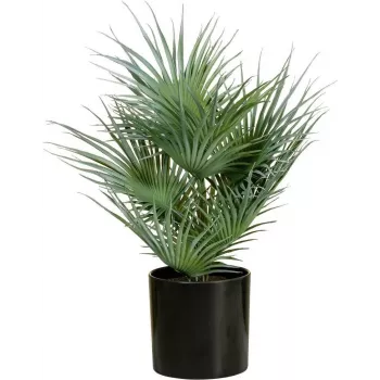 EUROPALMS Artificial Fan Palm in Pot, 55 cm 82509401