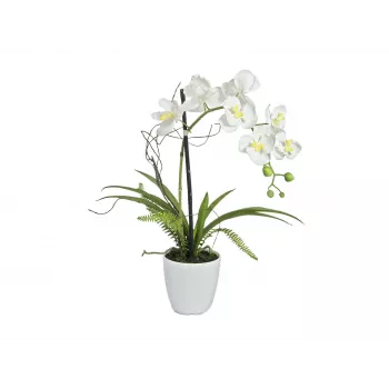 EUROPALMS Artificial Orchid Arrangement 1, in Pot, White-Pink, 60 cm 82530346