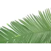 EUROPALMS Artificial Coconut Royal Palm Frond, 180cm 82509847