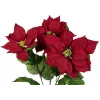 EUROPALMS Artificial Christmas Star Bush, Red, 50cm 83500439
