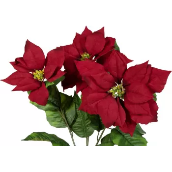 EUROPALMS Artificial Christmas Star Bush, Red, 50cm 83500439