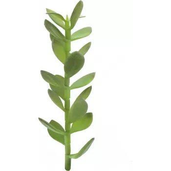 EUROPALMS Lucky Tree Sapling Artificial Plant, 30cm 82809010