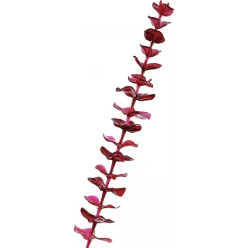 EUROPALMS Artificial Crystal Eucalyptus Branch, Burgundy Red, 81cm 82600203