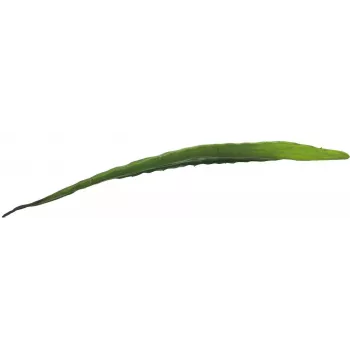 EUROPALMS Artificial Aloe Leaf (EVA), Green, 60cm 82530581