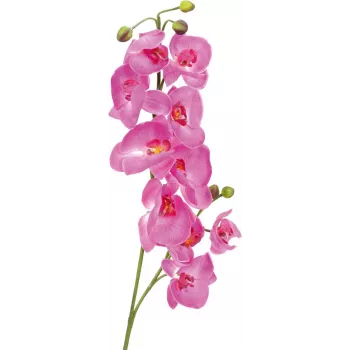 EUROPALMS Artificial Orchid Branch, Purple, 100 cm 82530322