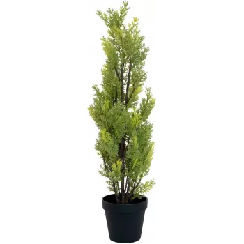 EUROPALMS Leyland Cypress Artificial Plant, 60cm 82606959